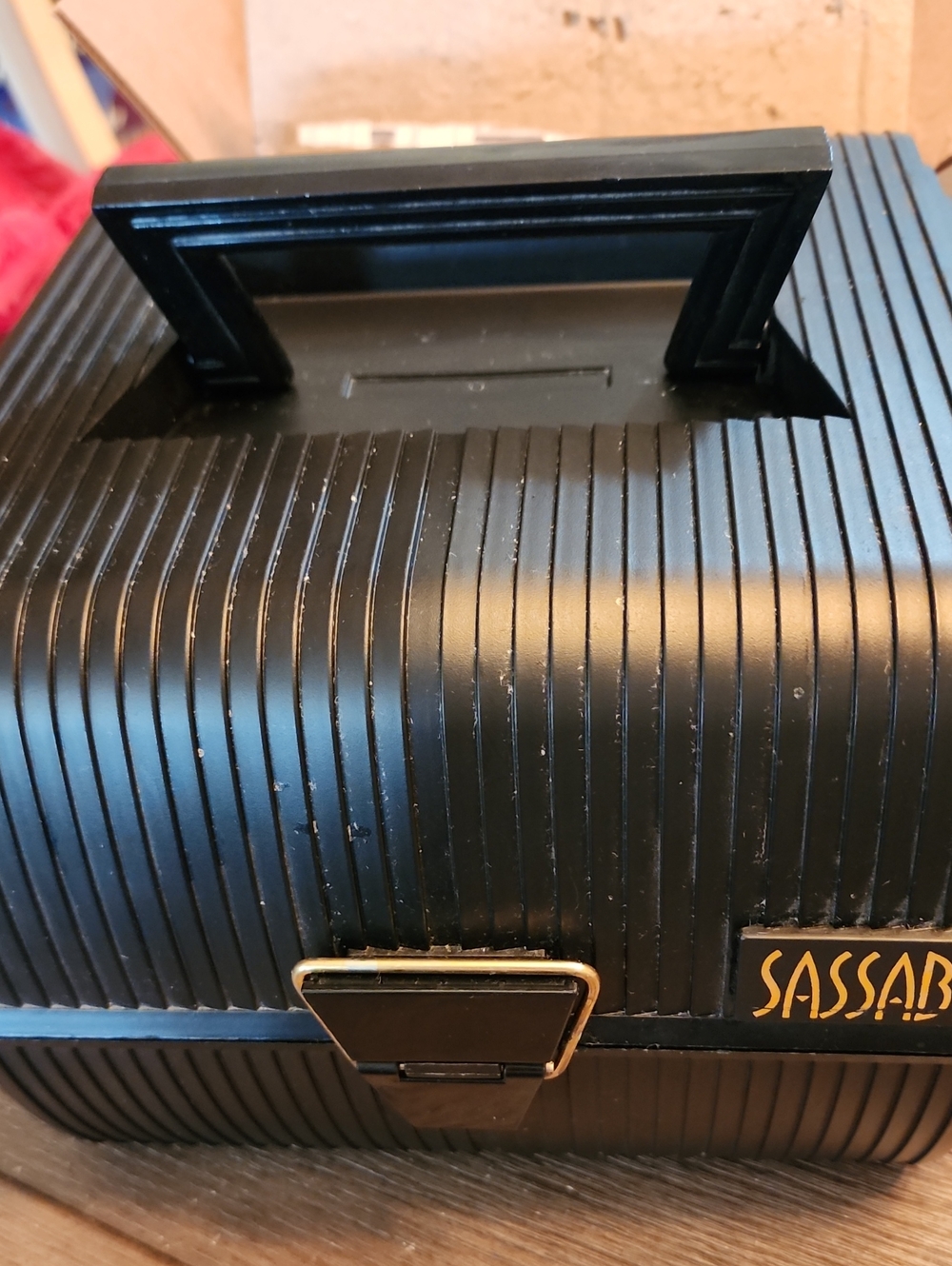 Sassaby Large Train Makeup Case